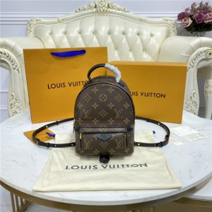 Louis Vuitton Palm Springs Mini