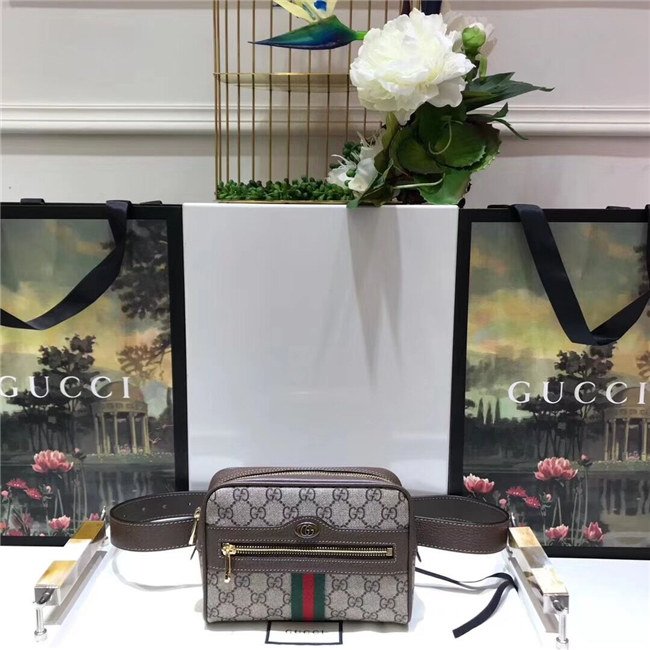 Gucci Ophidia GG Supreme Small Belt Bag