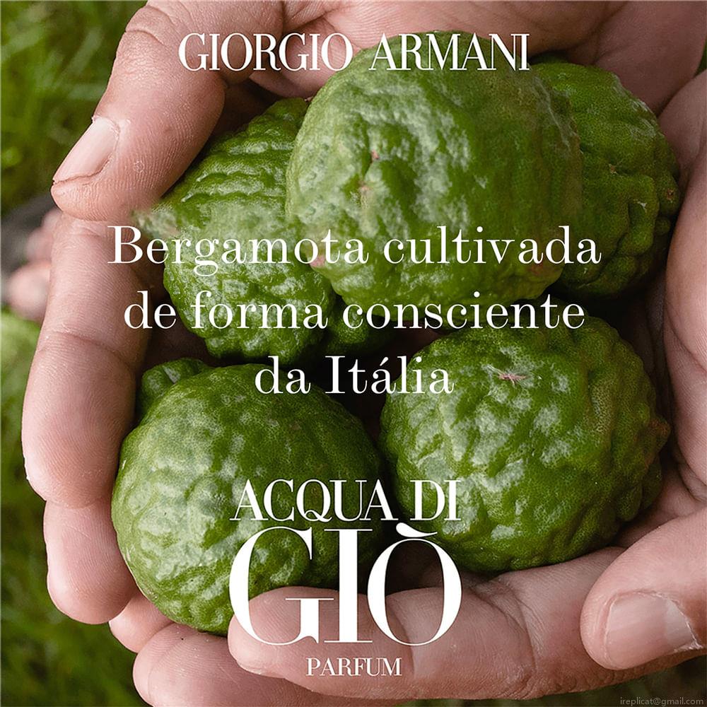 Perfume Giorgio Armani Acqua Di Giò Homme Masculino Eau de Toilette 200 ml