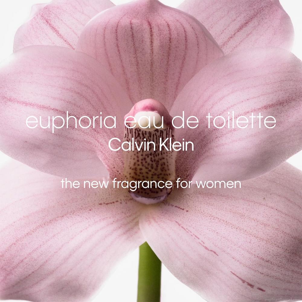 Perfume Calvin Klein Euphoria Feminino Eau de Toilette 100 ml