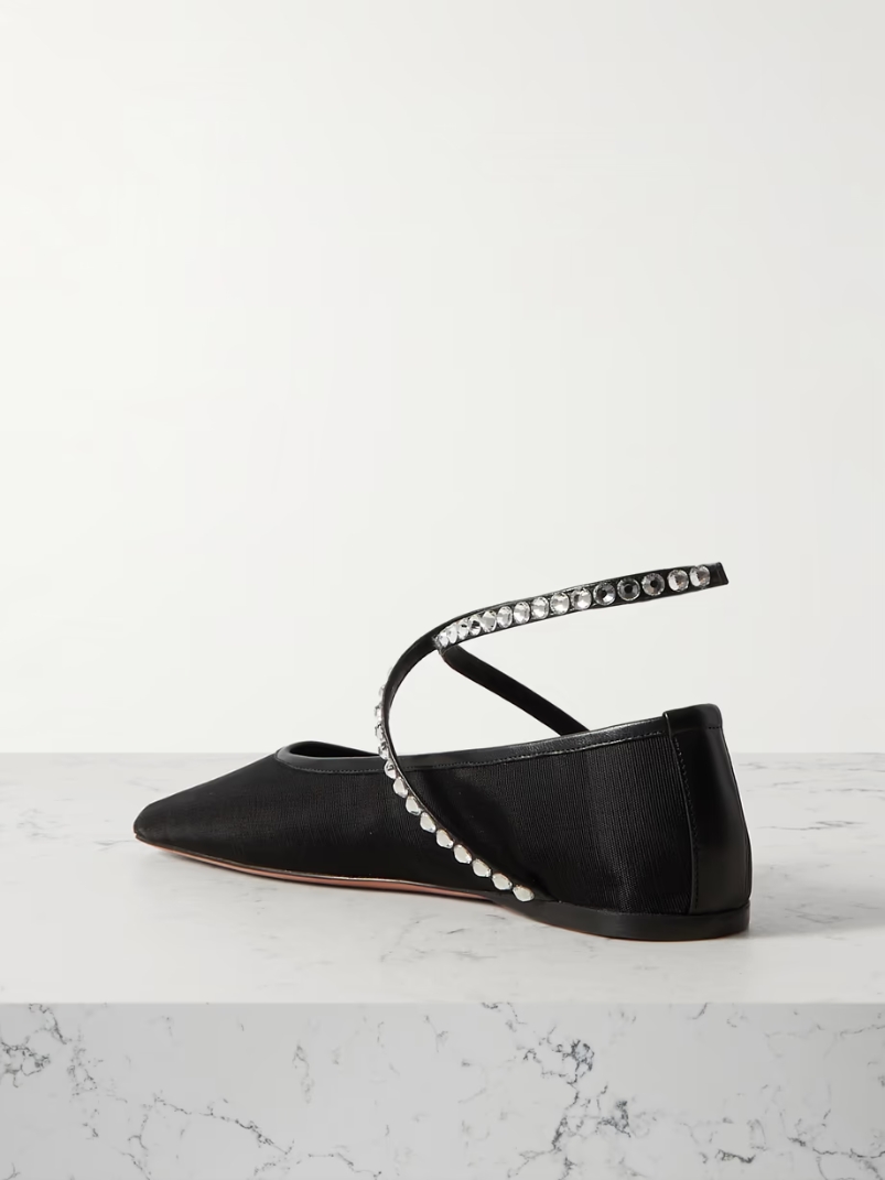 Ane crystal-embellished leather-trimmed mesh ballet flats