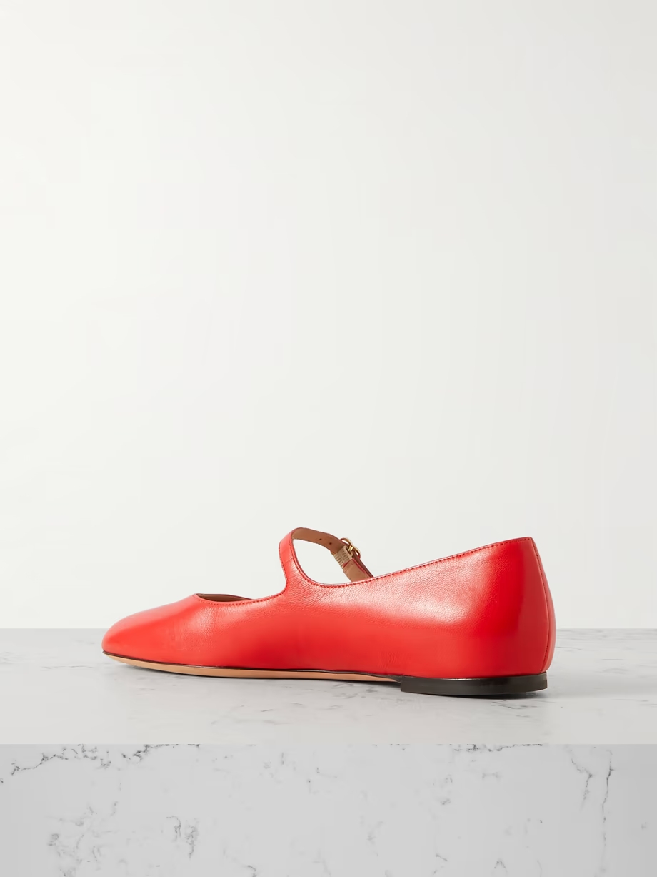 Banya leather Mary Jane ballet flats